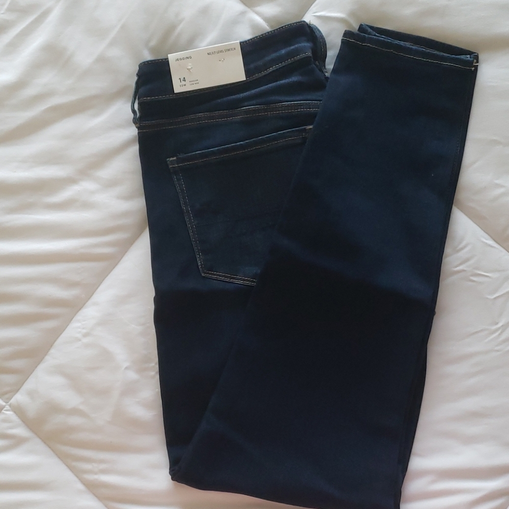 American Eagle Jeggings